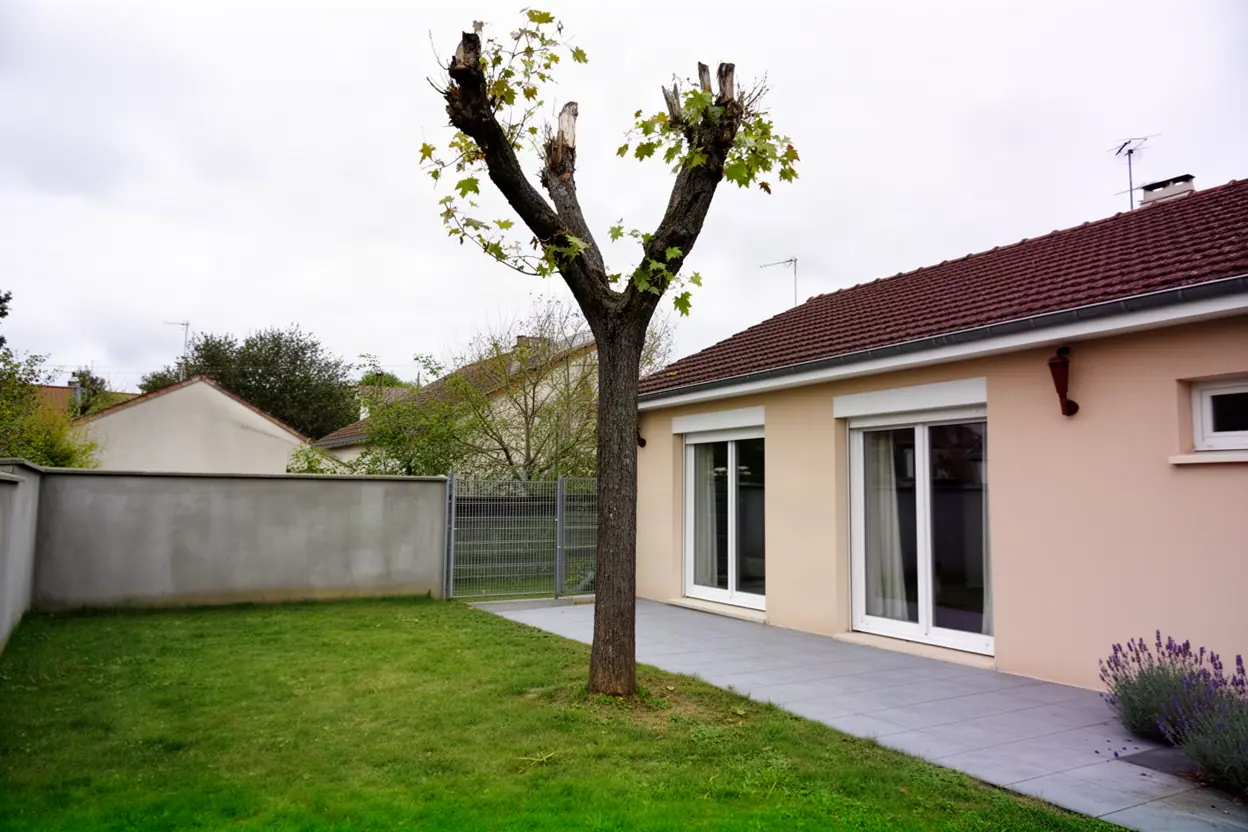 Érable dépérissant menaçant une terrasse avant abattage à Olivet